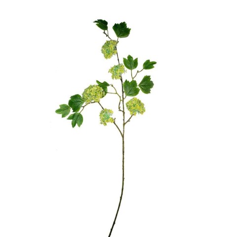 RAMO DI VIBURNO CON 5 FIORI VERDE CM.92